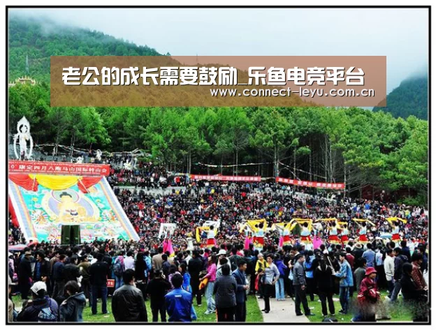 乐鱼电竞leyu