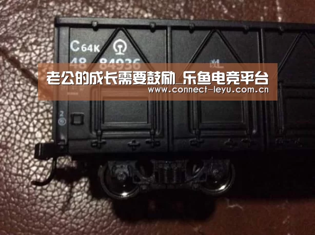 乐鱼电竞