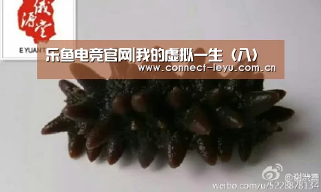 乐鱼电竞官网