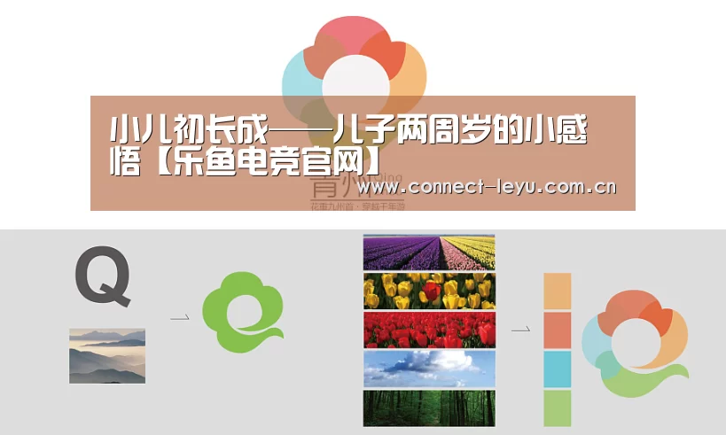 乐鱼电竞官网