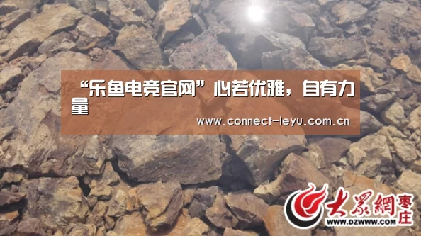 乐鱼电竞官网