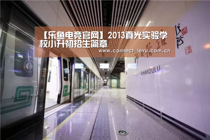 乐鱼电竞官网