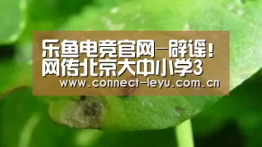 乐鱼电竞leyu