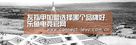 乐鱼电竞平台