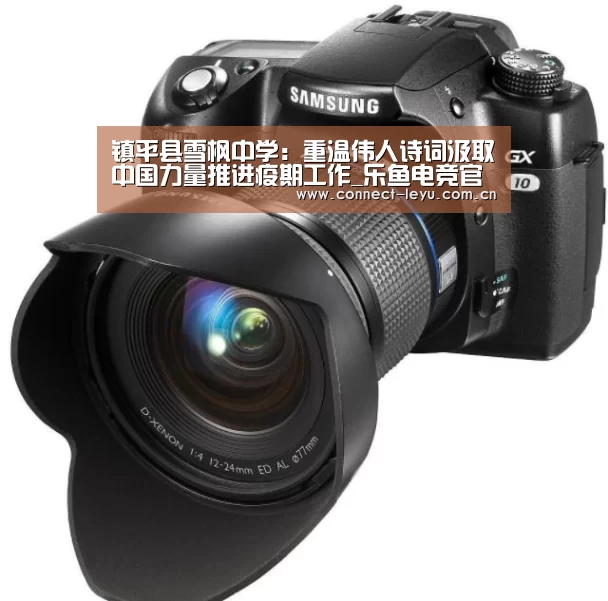 镇平县雪枫中学:重温伟人诗词汲取中国力量推进疫期工作_乐鱼电竞官网(图3) 乐鱼电竞leyu