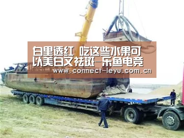 乐鱼电竞官网